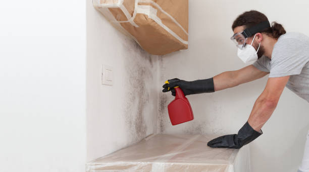 Professional Mold Remediation technician working in Meadow Vale, KY